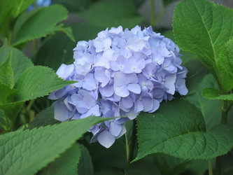 Similar image 21156950