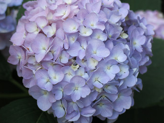 Similar image 21156951