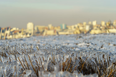 Similar image 21149684