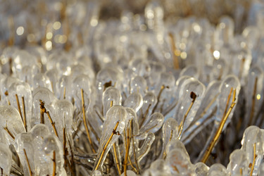 Similar image 21148709