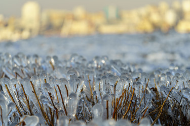 Similar image 21148711