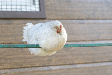 Similar image 21148720