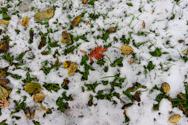 Similar image 21148723