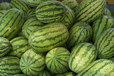 Similar image 21149687