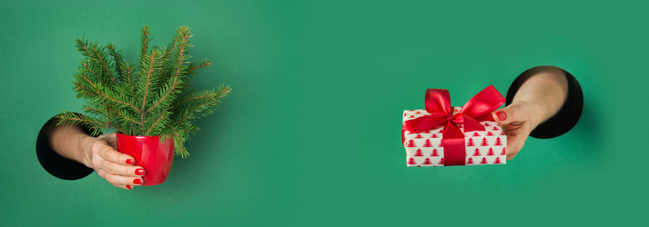 Similar image 21155074