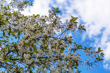 Similar image 21148472