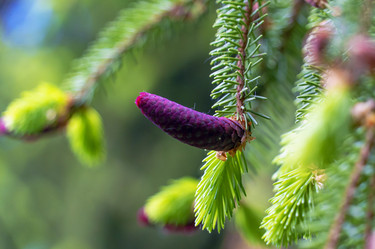 Similar image 21148474