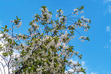 Similar image 21148475