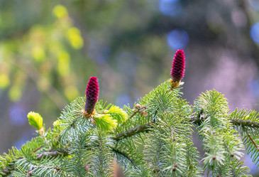 Similar image 21148478