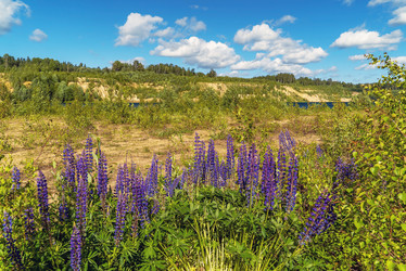 Similar image 21148479