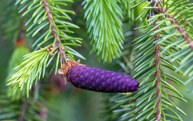 Similar image 21148480