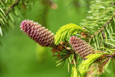 Similar image 21148484