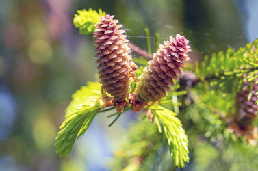 Similar image 21148490