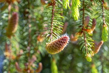 Similar image 21148492