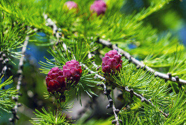 Similar image 21148493