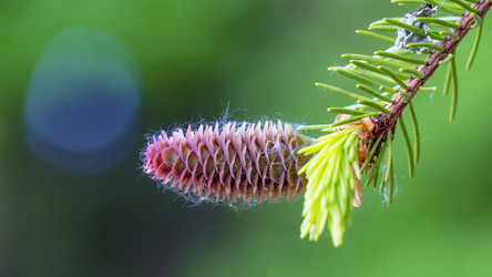 Similar image 21148496