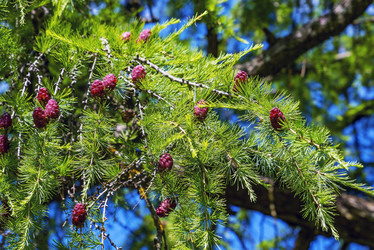 Similar image 21148497