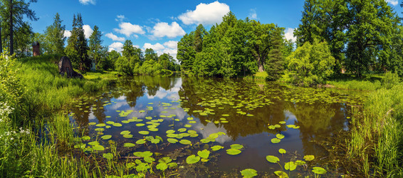 Similar image 21148499