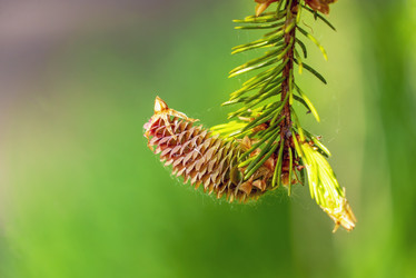 Similar image 21148500