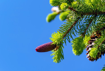 Similar image 21148504