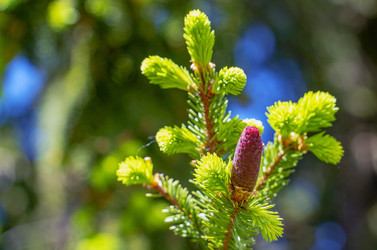 Similar image 21148510