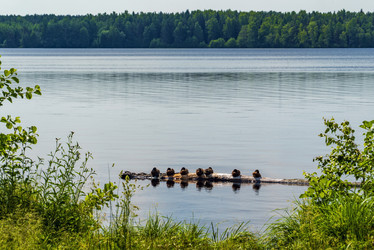 Similar image 21148511