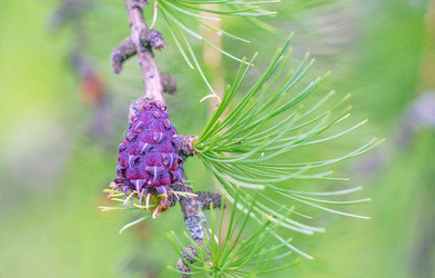 Similar image 21148514