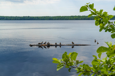 Similar image 21148515