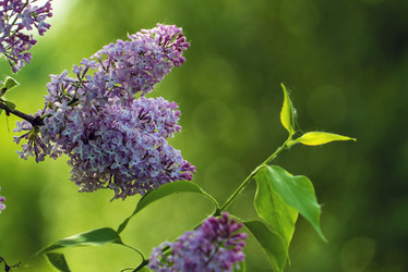 Similar image 21148516