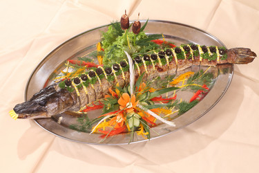 Similar image 21151121