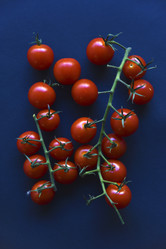 Similar image 21150872