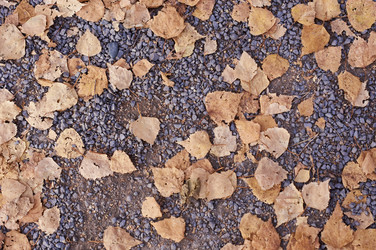 Similar image 21154626