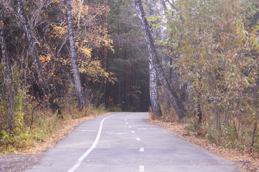 Similar image 21154627