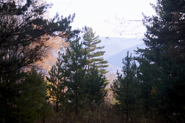 Similar image 21154628