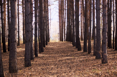 Similar image 21154632