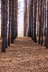 Similar image 21154633