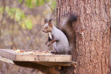 Similar image 21154636