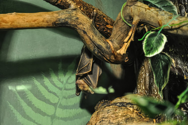 Similar image 21154035