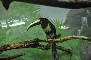 Similar image 21154036