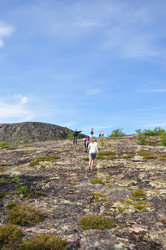 Similar image 21154042