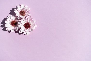 Similar image 21149322