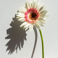 Similar image 21149323