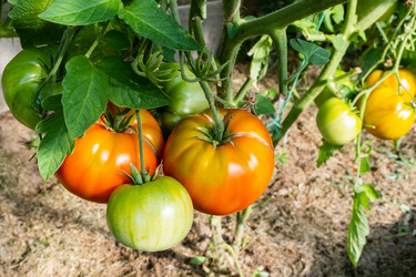 Similar image 21149324