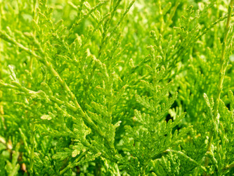 Similar image 21149328