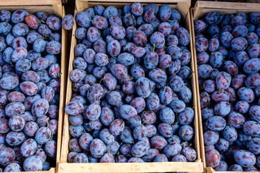 Similar image 21149520