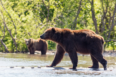 Similar image 21149525