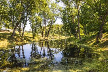 Similar image 21154361