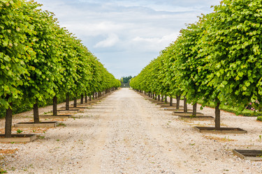 Similar image 21154368