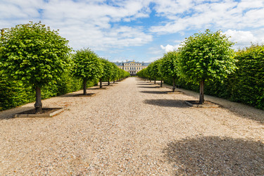 Similar image 21154373