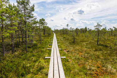 Similar image 21154377